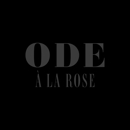 Ode à la Rose DC - Florists