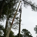 Affordable Tree Services LLC - Tree Service