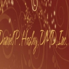 Daniel P Hasley DMD