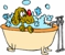 Scottys Mobile Dog Wash AND Grooming - Dog & Cat Clipping & Grooming
