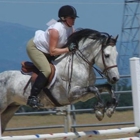 Palo Cedro Sport Horses