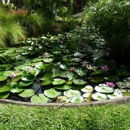 Aquarium and Pond Services - Aquariums & Aquarium Supplies-Leasing & Maintenance