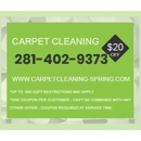 Carpet Cleaning Spring - Carpet & Rug Cleaners