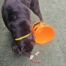 Williamsburg Pet Hotel & Suites