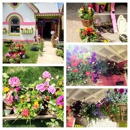 The Ruffly Rose - Gourmet Shops