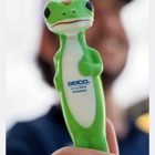 Geico Insurance