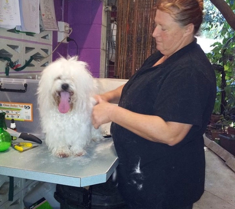 Homebush Boarding Kennels & Cattery - Homebush, QLD