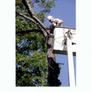 J&M Tree Service - Stump Removal & Grinding