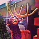 Elks Lodge - Community Organizations