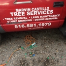 Marvin Castillo Tree and Landscaping Service - Tree Service