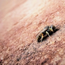Border Pest Control - Pest Control Equipment & Supplies