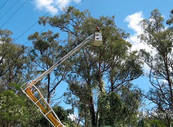 Drouin Tree Services - Drouin, VIC