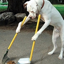 Arkansas PETZ - Pet Waste Removal