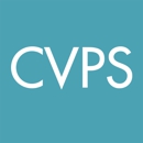 CV Pool & Spa - Swimming Pool Repair & Service