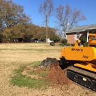 ASAP Upstate Stump Grinding