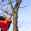 Excel Tree Service gallery