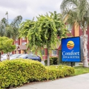 Comfort Inn & Suites - Motels