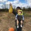 West Portal Pumpkin Patch gallery