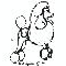 Canine Clipper - Pet Training