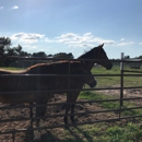 Rockin H Ranch Boarding and Training Facility - Horse Boarding