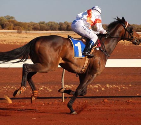 Meekatharra Shire Council - Chief Executive Officer
