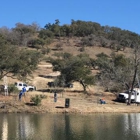 S.A. Total Tree Service & Stump Grinding