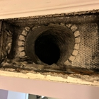 Mold Remediation Fort Lauderdale