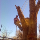 Lumberjack Joes - Tree Service