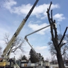 Clapper Crane & Tree Service gallery