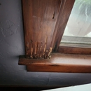 State Termite Control Inc - Pest Control Services
