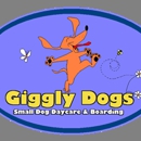 Giggly Dogs Small Dog Daycare & Boarding - Pet Boarding & Kennels
