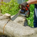 Knockout Tree Services - Tree Service