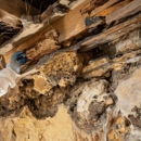 Nichols Pest Control - Pest Control Equipment & Supplies