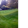 ML Lawn Care gallery