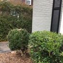 Darren Bishop Landscape & Design
