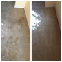 Custom Carpet Cleaning