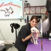 West Coast Groomers gallery