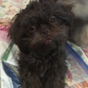 Bay State Veterinary Emergency & Specialty Services gallery