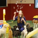 Blue Springs Animal Hospital & Pet Resort - Veterinary Clinics & Hospitals