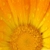Torquay Holistic Health - Naturopaths