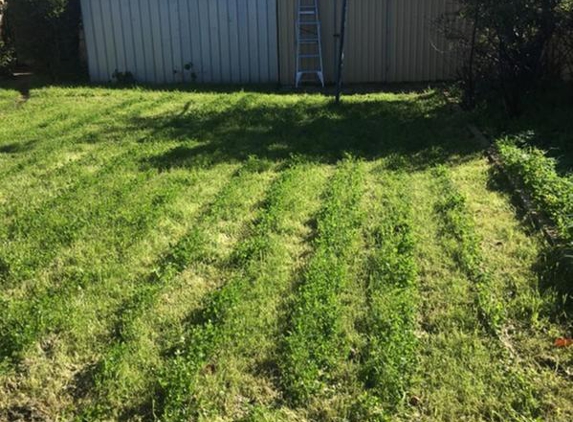 7 Day Gardens - Yanchep, WA. NOT ACCEPTABLE!
