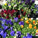 Glenwild Garden Center - Garden Centers