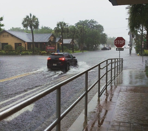 Publix Super Market at Hyde Park - Tampa, FL