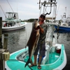 Cobia Killer gallery