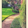 DevineScapes Landscaping & Maintenance gallery