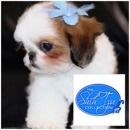 The Shih Tzu Collection - Pet Stores