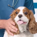 Petsound Animal Hospital - Veterinary Specialty Services