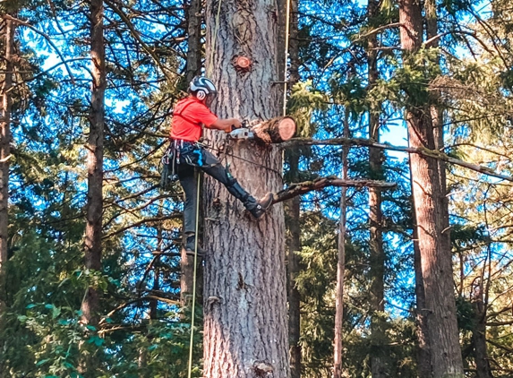 Advanced Tree Management - Sweet Home, OR