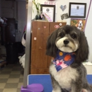 Debbie Ternan's Dog & Cat Grooming - Pet Grooming