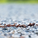 Red Flag Pest Control - Pest Control Equipment & Supplies